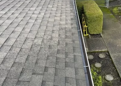 Landscape Maintenance