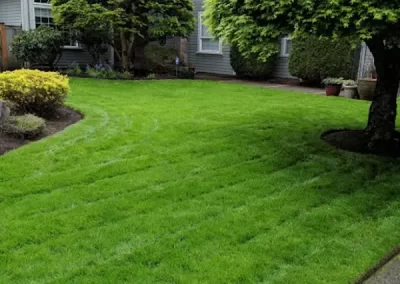 Landscape Maintenance