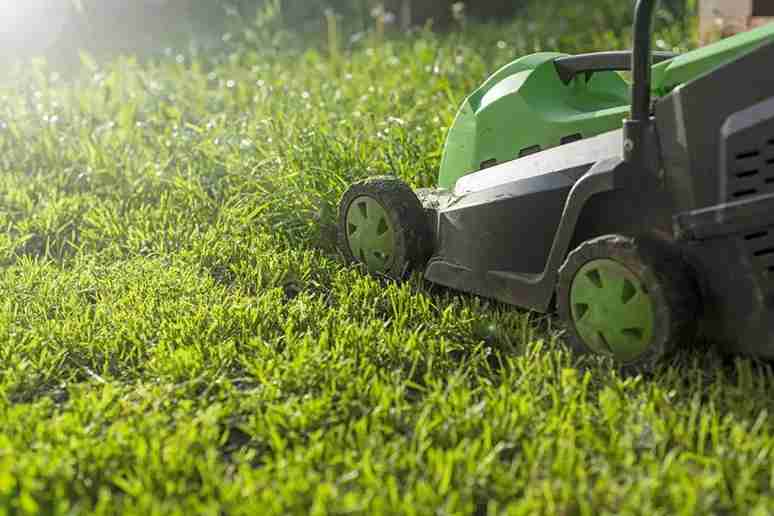 Common Lawn Mowing Mistakes And How To Avoid Them in Eugene, OR 97402 Common Lawn Mowing Mistakes And How To Avoid Them in Eugene, OR 97402