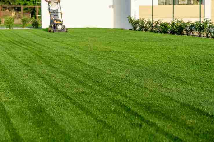 Essential Lawn Mowing Techniques For An Even Finish in Eugene, OR 97402 Essential Lawn Mowing Techniques For An Even Finish in Eugene, OR 97402