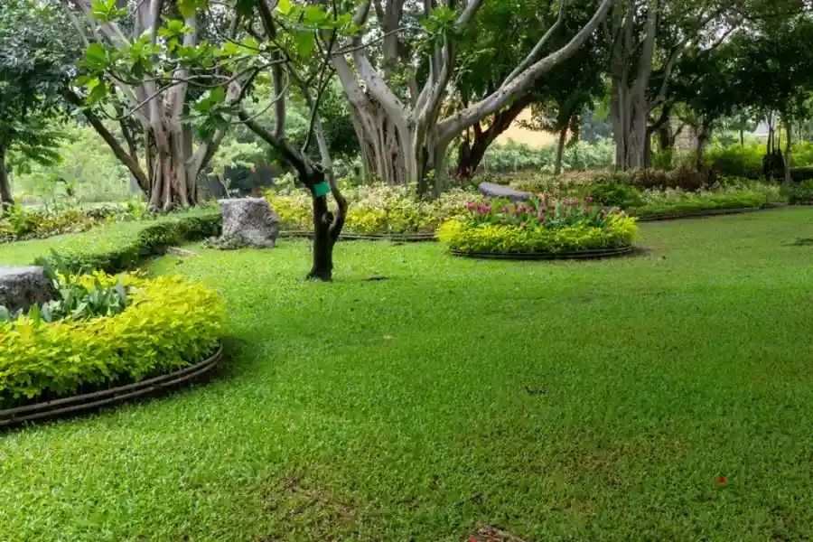 Experienced Landscaping Maintenance Eugene, OR 97402