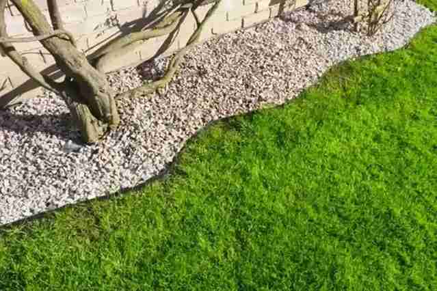 How Lawn Edging Enhances Your Landscapes Aesthetic Appeal in Eugene, OR 97402