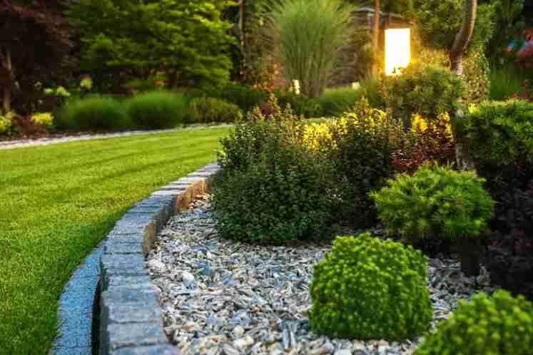 Key Landscaping Practices For Weed Control Eugene, OR 97402 Key Landscaping Practices For Weed Control Eugene, OR 97402