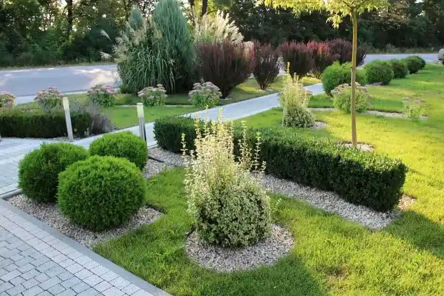 Key Landscaping Practices For Weed Control in Eugene, OR 97402 Key Landscaping Practices For Weed Control in Eugene, OR 97402