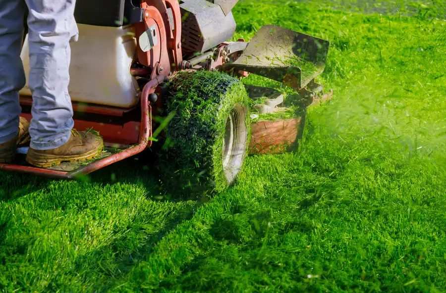 Local Lawn Mowing Eugene, OR 97402