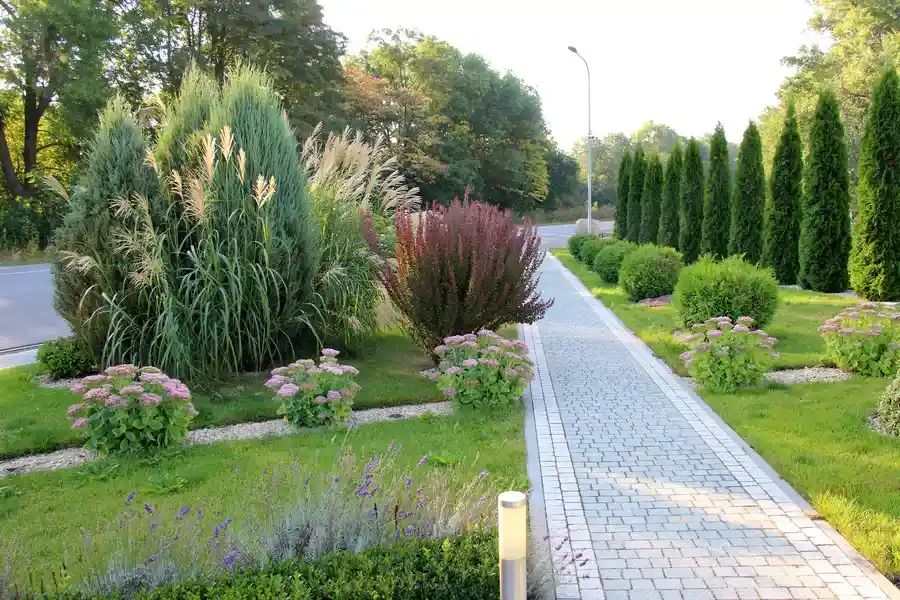 Premium Landscaping Maintenance Eugene, OR 97402