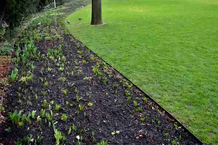 Top-rated Lawn Edging Eugene, OR 97402