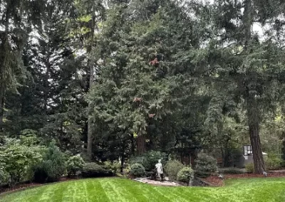 Best Landscaping Contractor