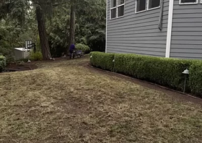 Professional Landscape Maintenance