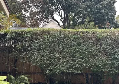 Reliable Landscape Services