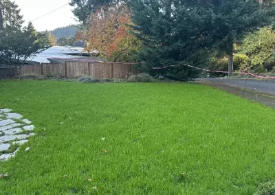 Top Landscape Maintenance